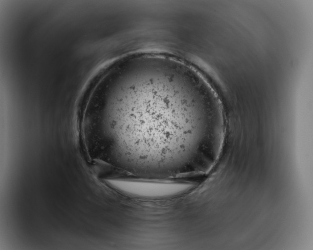 X0000093171408200710101204