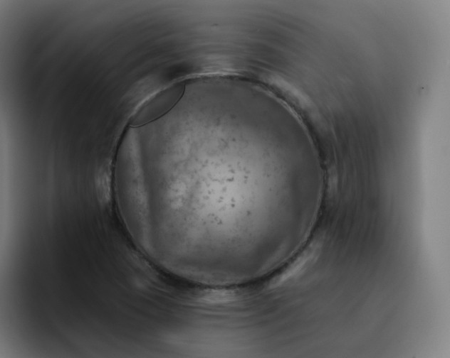 X0000093171409200710101204