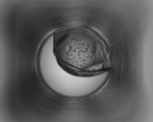 X0000093171410200710101204