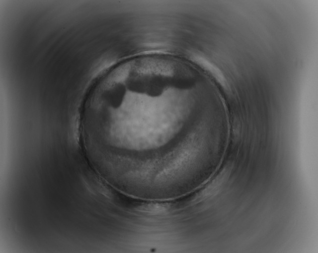 X0000093171411200710101204