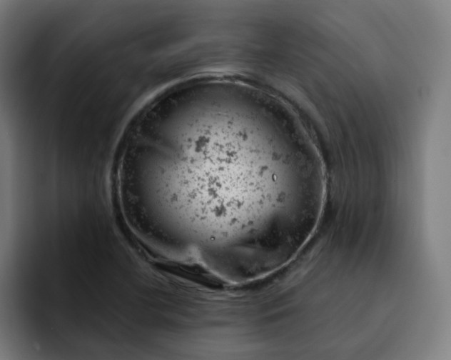 X0000093171412200710101204