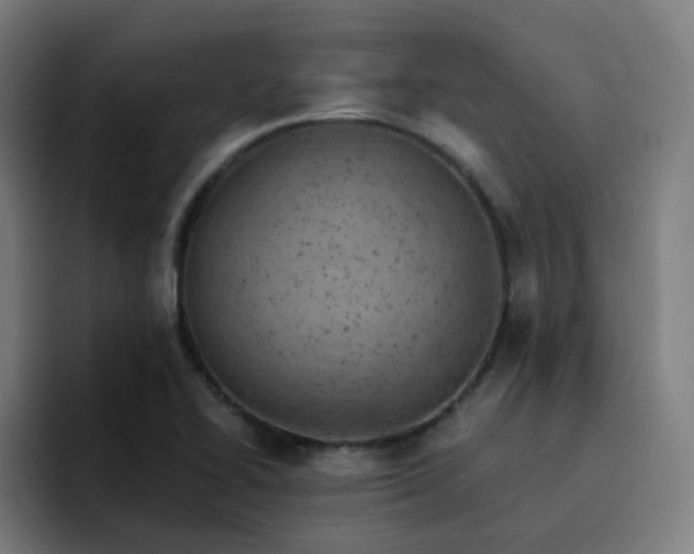 X0000093171414200710101204