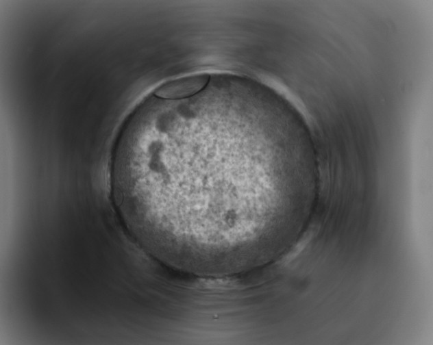 X0000093171415200710101204