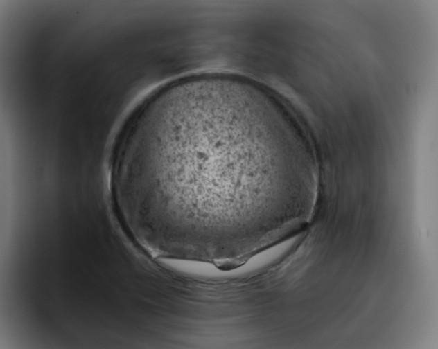 X0000093171416200710101204