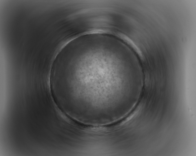 X0000093171417200710101204
