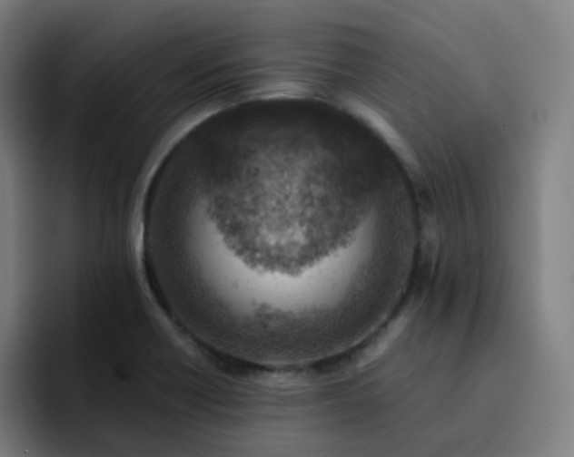 X0000093171418200710101204