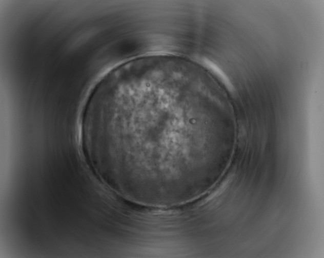 X0000093171419200710101204