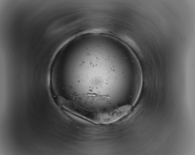 X0000093171420200710101204