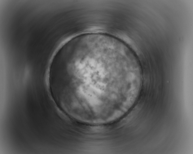 X0000093171421200710101204