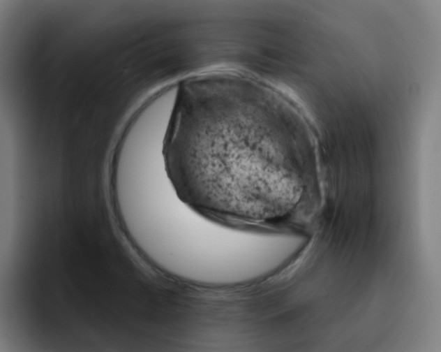 X0000093171422200710101204