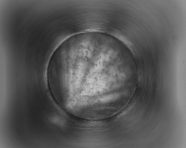 X0000093171423200710101204