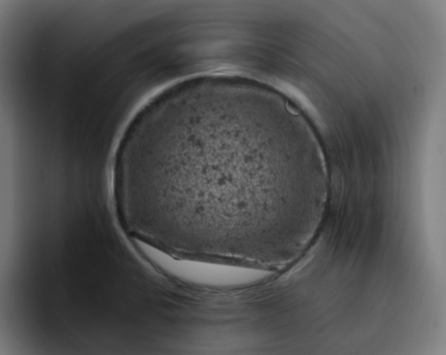 X0000093171424200710101204