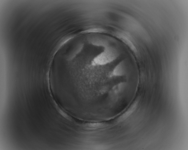 X0000093171425200710101204