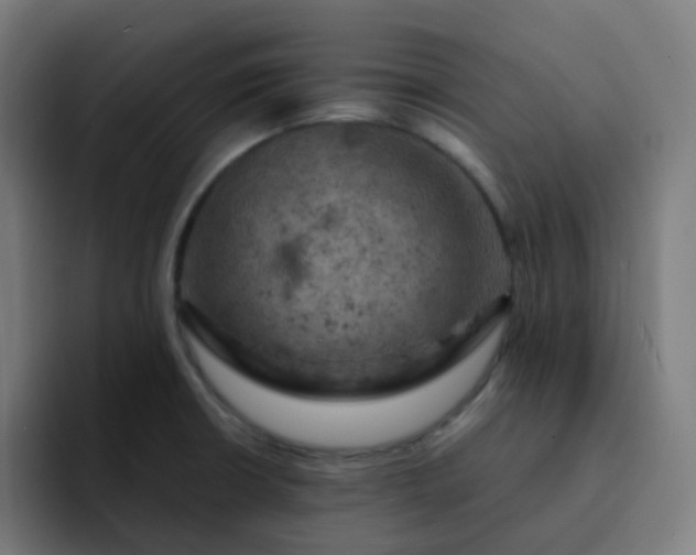 X0000093171426200710101204