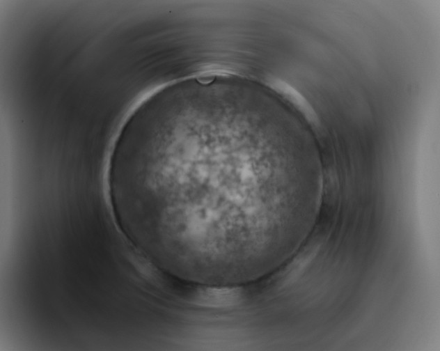 X0000093171427200710101204