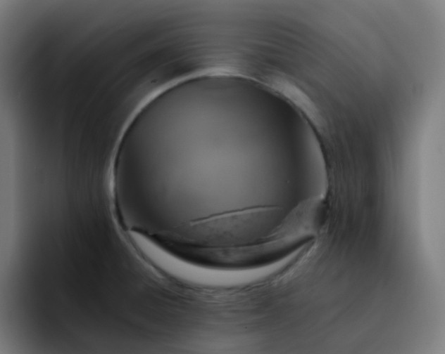 X0000093171428200710101204