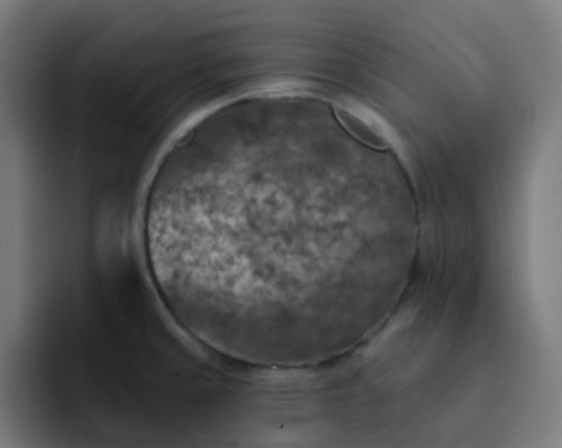 X0000093171429200710101204