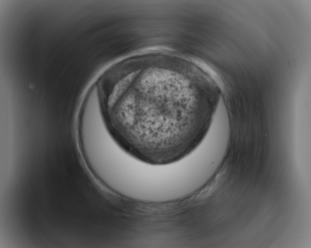X0000093171430200710101204