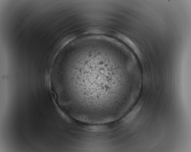X0000093171433200710101204