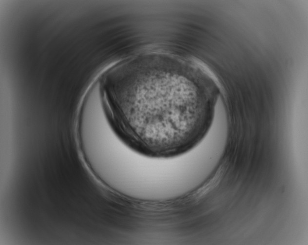 X0000093171434200710101204