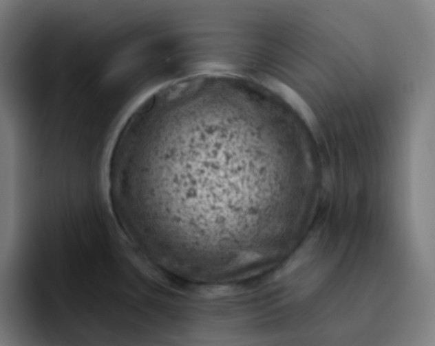 X0000093171435200710101204