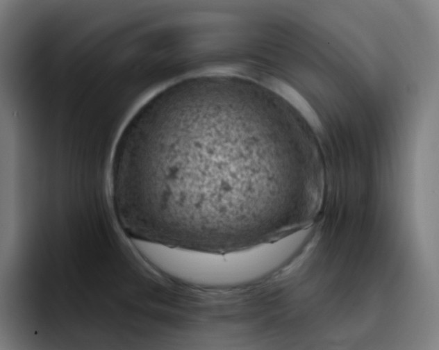 X0000093171436200710101204