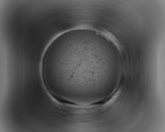 X0000093171438200710101204