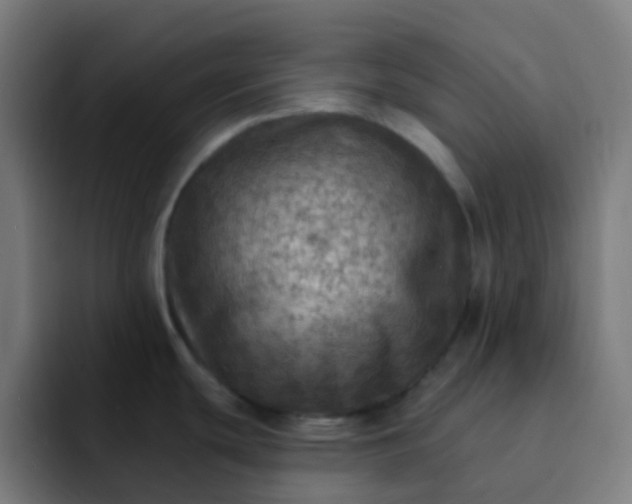X0000093171439200710101204
