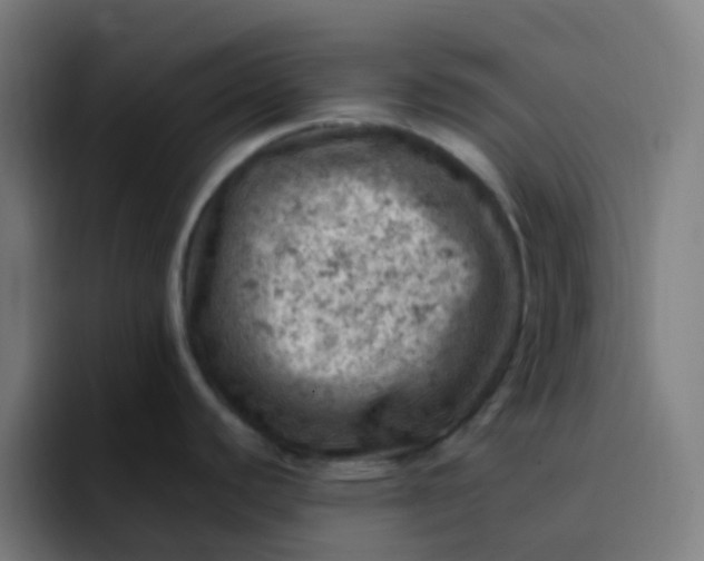 X0000093171440200710101204