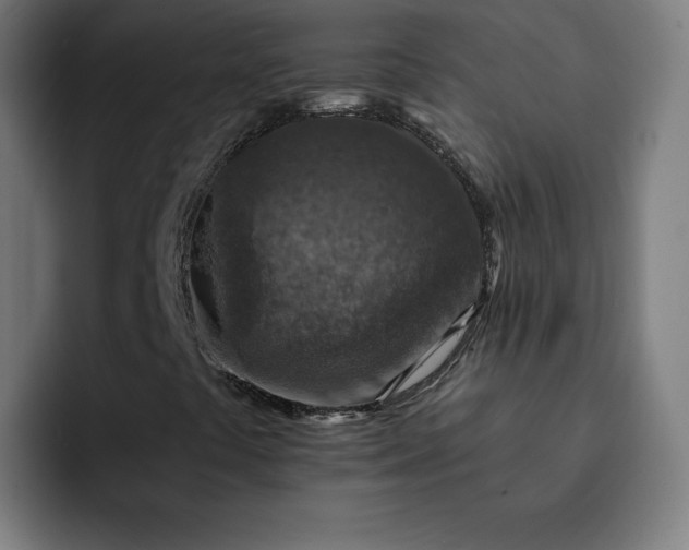 X0000093171441200710101204