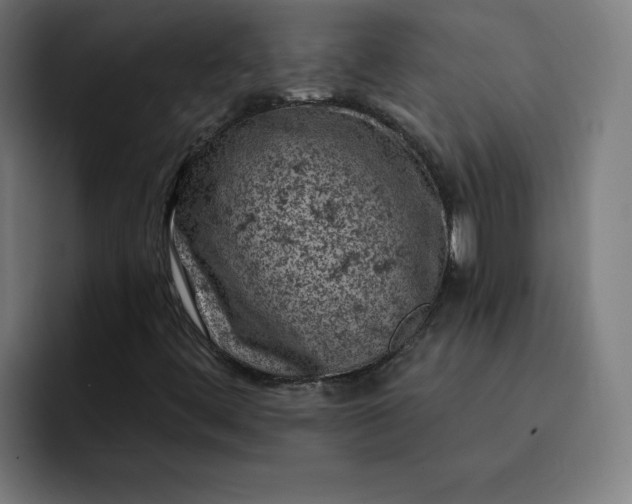 X0000093171444200710101204