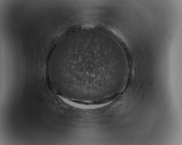 X0000093171445200710101204