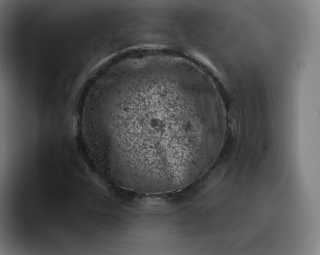 X0000093171448200710101204