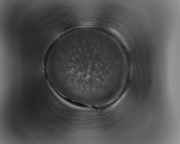X0000093171449200710101204
