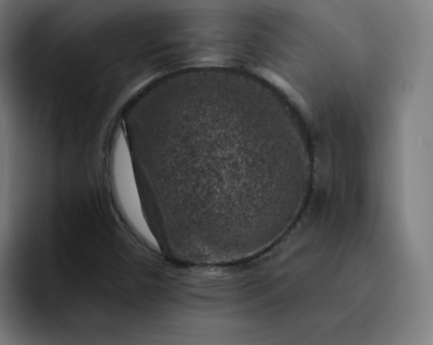 X0000093171450200710101204