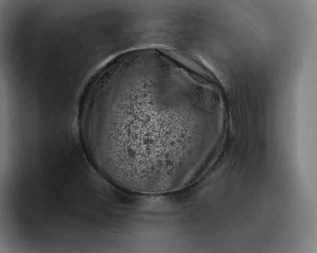 X0000093171452200710101203