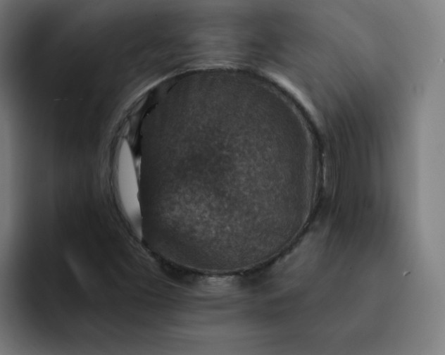 X0000093171453200710101203