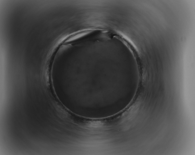 X0000093171455200710101203