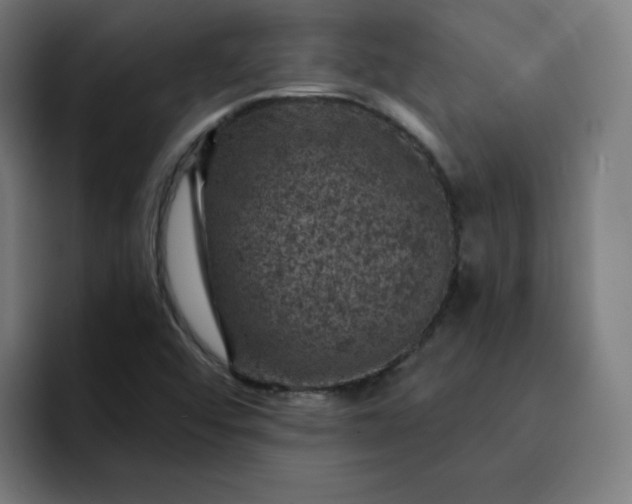 X0000093171456200710101203