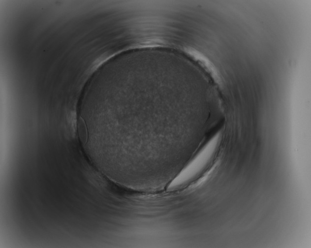 X0000093171457200710101203