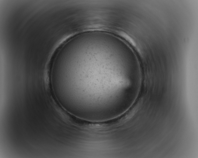 X0000093171458200710101203