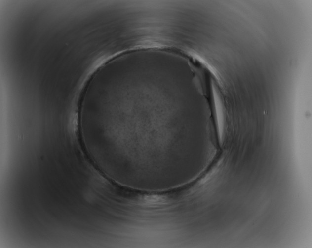 X0000093171459200710101203