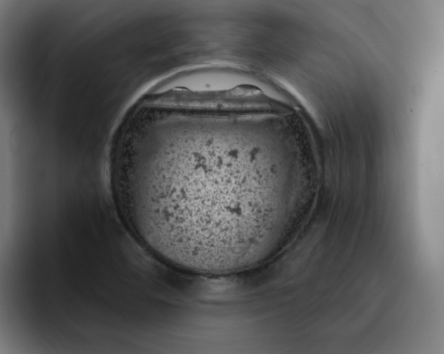 X0000093171460200710101203