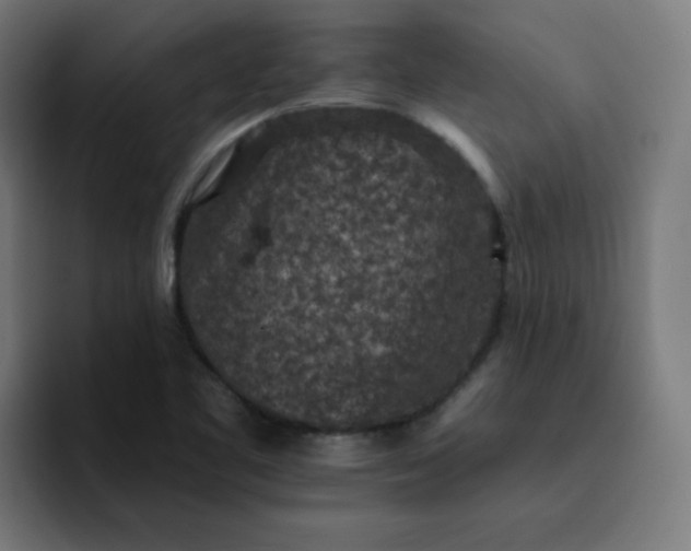 X0000093171461200710101203