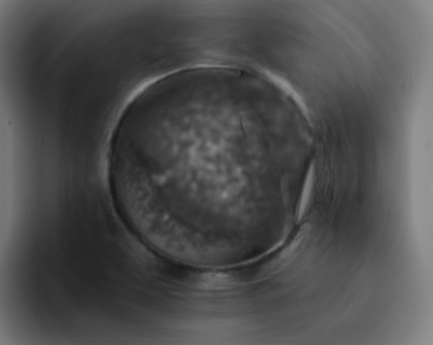 X0000093171463200710101203