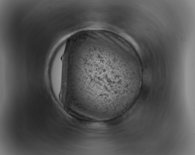 X0000093171464200710101203