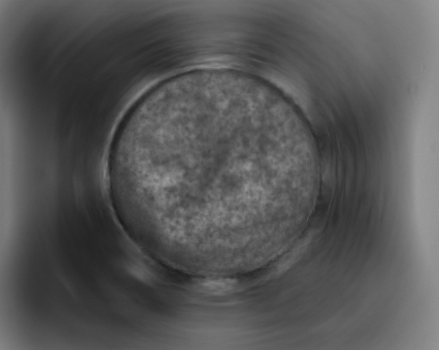 X0000093171466200710101203