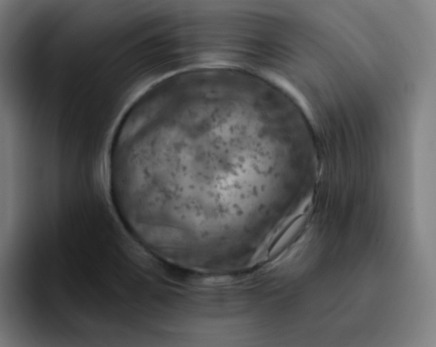 X0000093171467200710101203