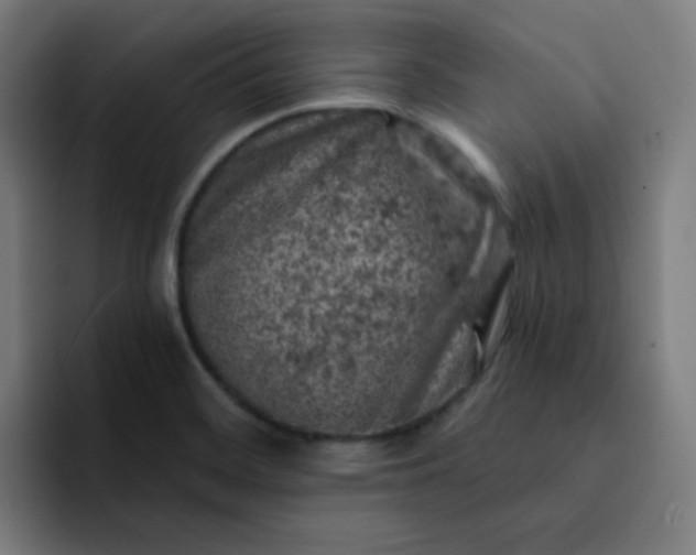 X0000093171468200710101203