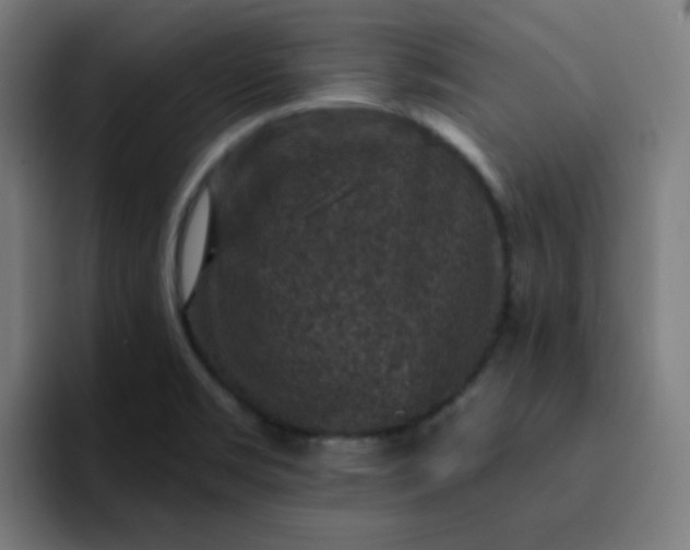 X0000093171469200710101203